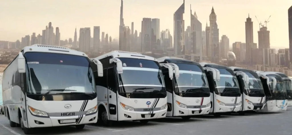 City Tours & Sightseeing
