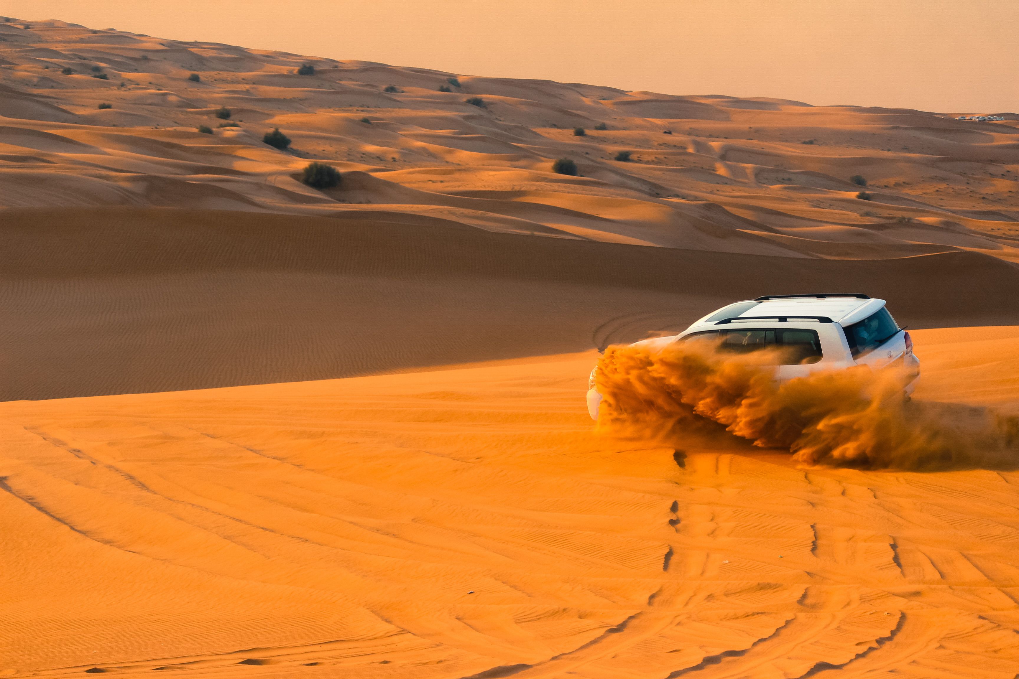 Desert Safari & Adventure