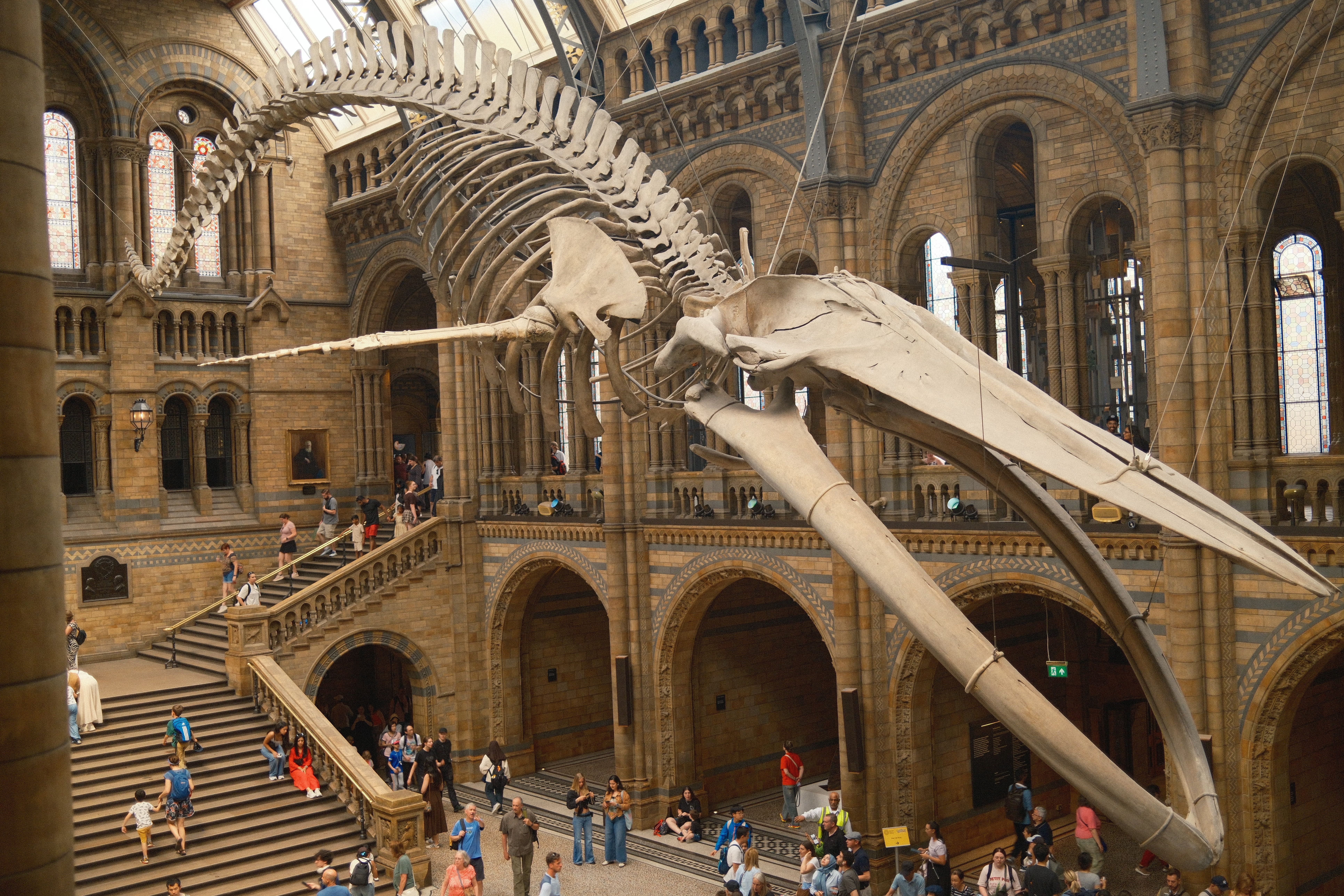 Educational Tours